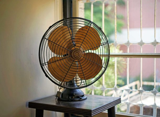 台南 鹿角枝 台南 鹿角枝