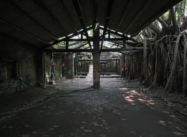 台南 安平樹屋 台南 安平樹屋